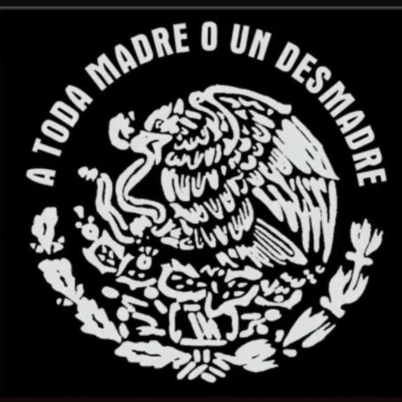 Meet your Posher, Louis - Picture 1 of 1